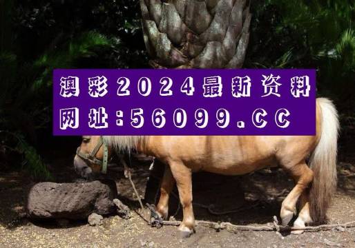 管家婆精选心水资料站管家婆精选心水资料站——智慧生活的全新选择