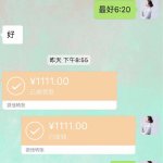 爱唯侦察论坛，揭秘与探索-第2张图片