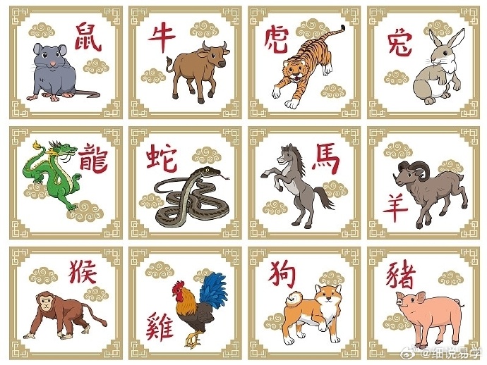 12生肖排列顺序表十二生肖排列顺序表-第1张图片