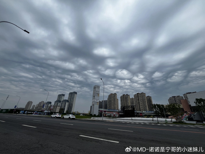 大连娱网大连娱网，娱乐新天地