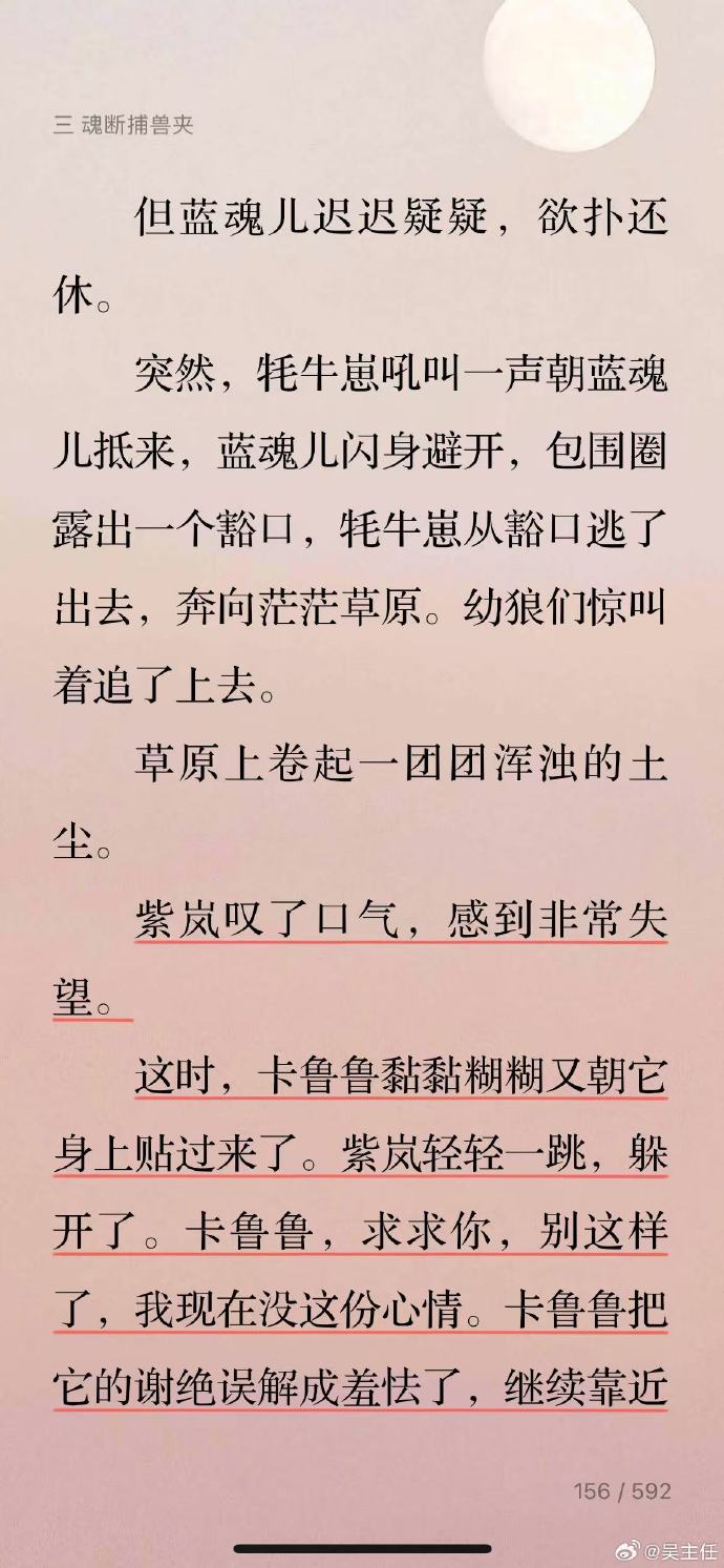 狼王梦小说全文狼王梦全文阅读-第3张图片