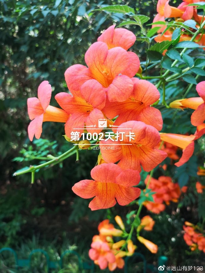 123手机开奖推荐123手机开奖推荐-第2张图片