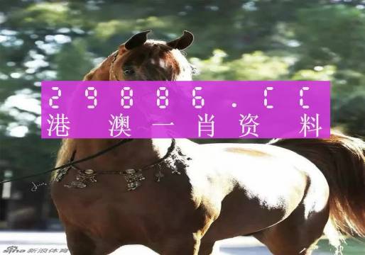 香港最准一肖中特公开选料