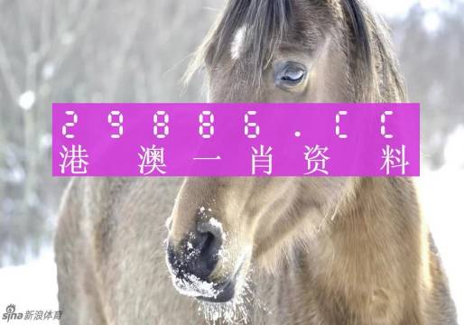 澳门肖码一码100%准确搜视网介绍