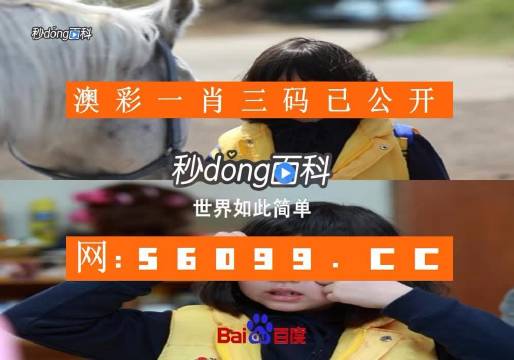 香港最准一码资料，揭秘精准预测