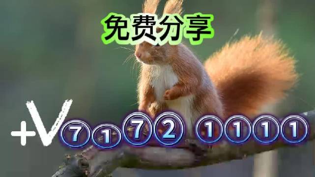澳门彩开奖记录2023年开奖历史数据