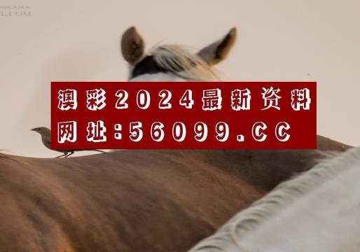 澳彩官网，投注无忧，赢在指尖-第2张图片