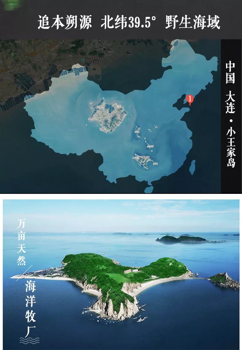 大洋岛娱乐论坛大洋岛娱乐论坛，探索多元文化与娱乐新天地-第1张图片
